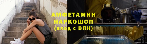 сатива Аркадак