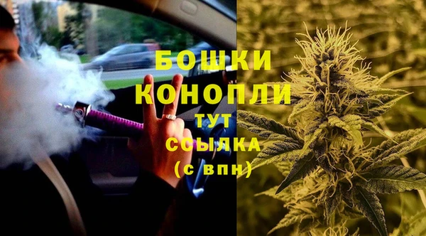 apvp Богданович