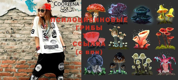 мескалин Богородицк