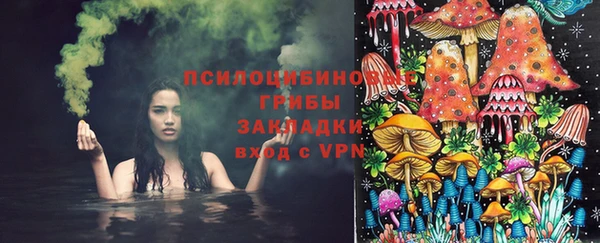 apvp Богданович