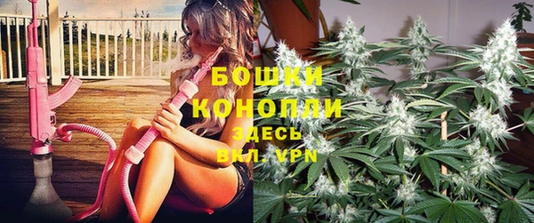 сатива Аркадак
