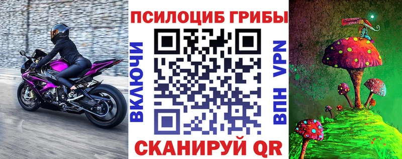 хочу   Красный Кут  Галлюциногенные грибы GOLDEN TEACHER 